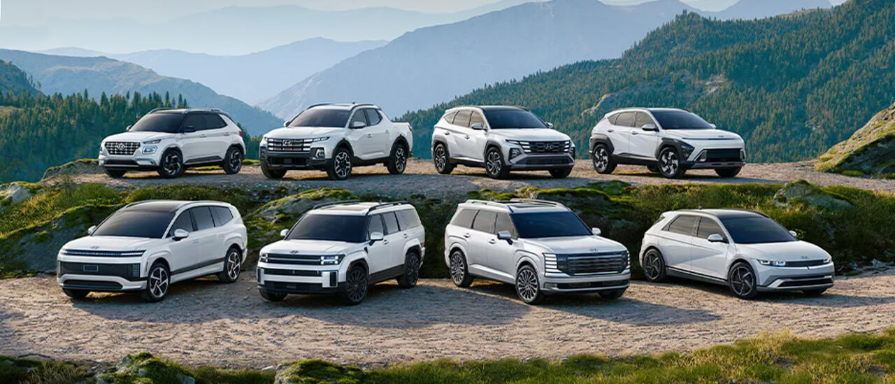 Grandwood Park Used Car Dealer